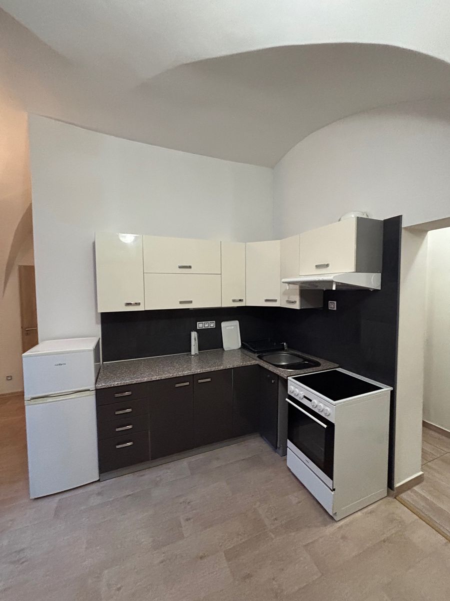 Pronájem bytu 1+1 45 m² – fotografie 2