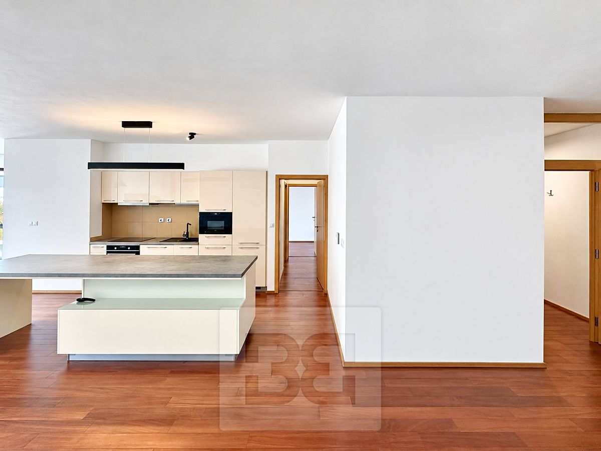 Pronájem bytu 3+kk 109 m² – fotografie 4