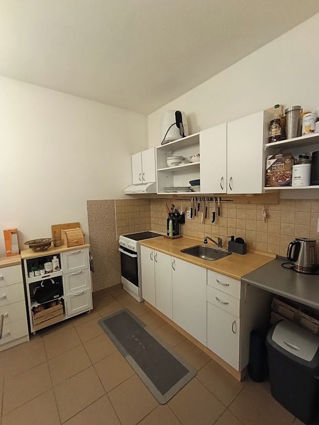Pronájem bytu 2+1 66 m² – fotografie 2