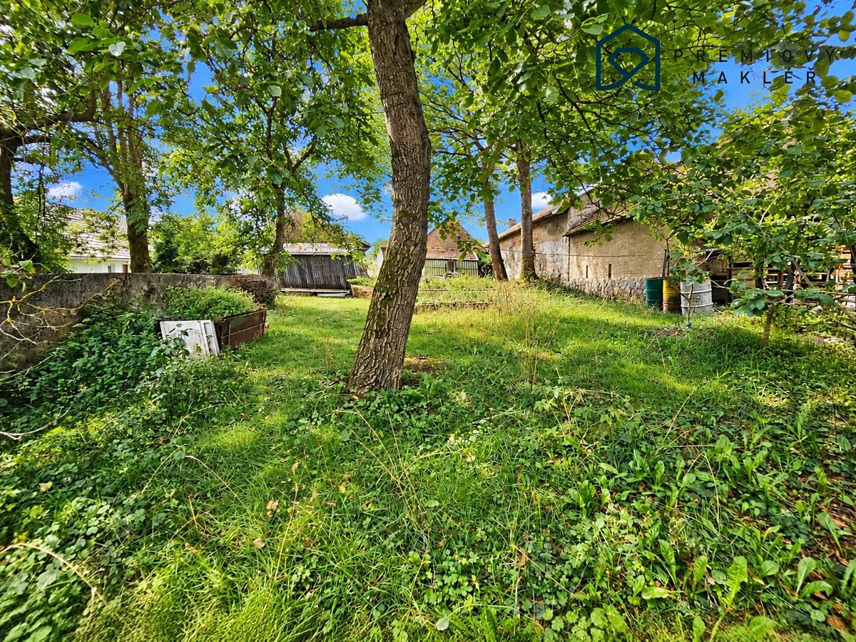 Prodej rodinného domu 200 m², pozemek 2021 m² – fotografie 5