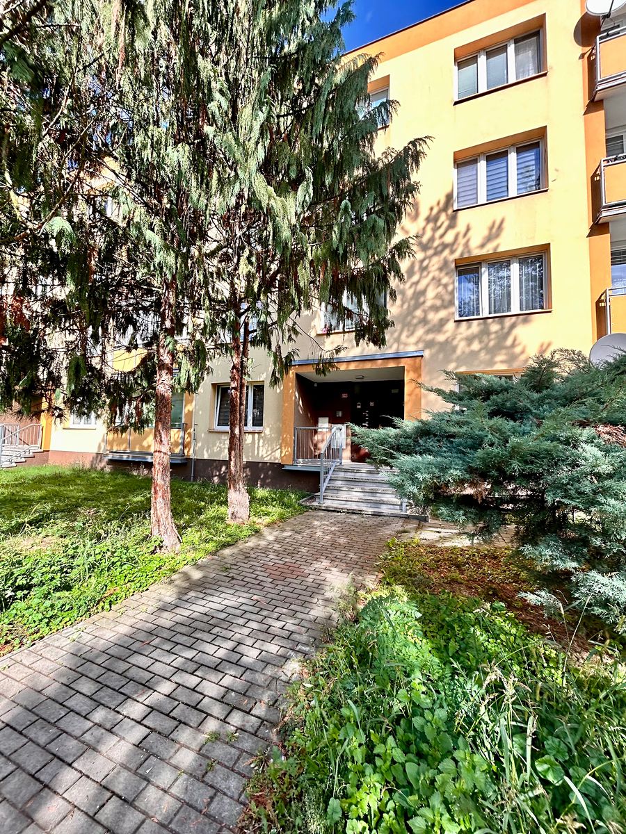 Pronájem bytu 1+kk 20 m²