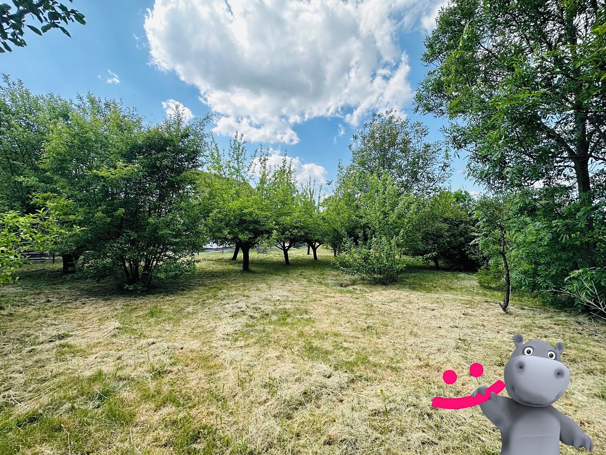 Prodej stavebního pozemku 1519 m² – fotografie 2