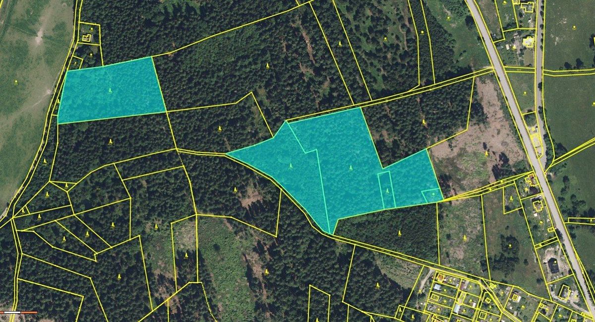 Prodej lesa 26667 m² – fotografie 2