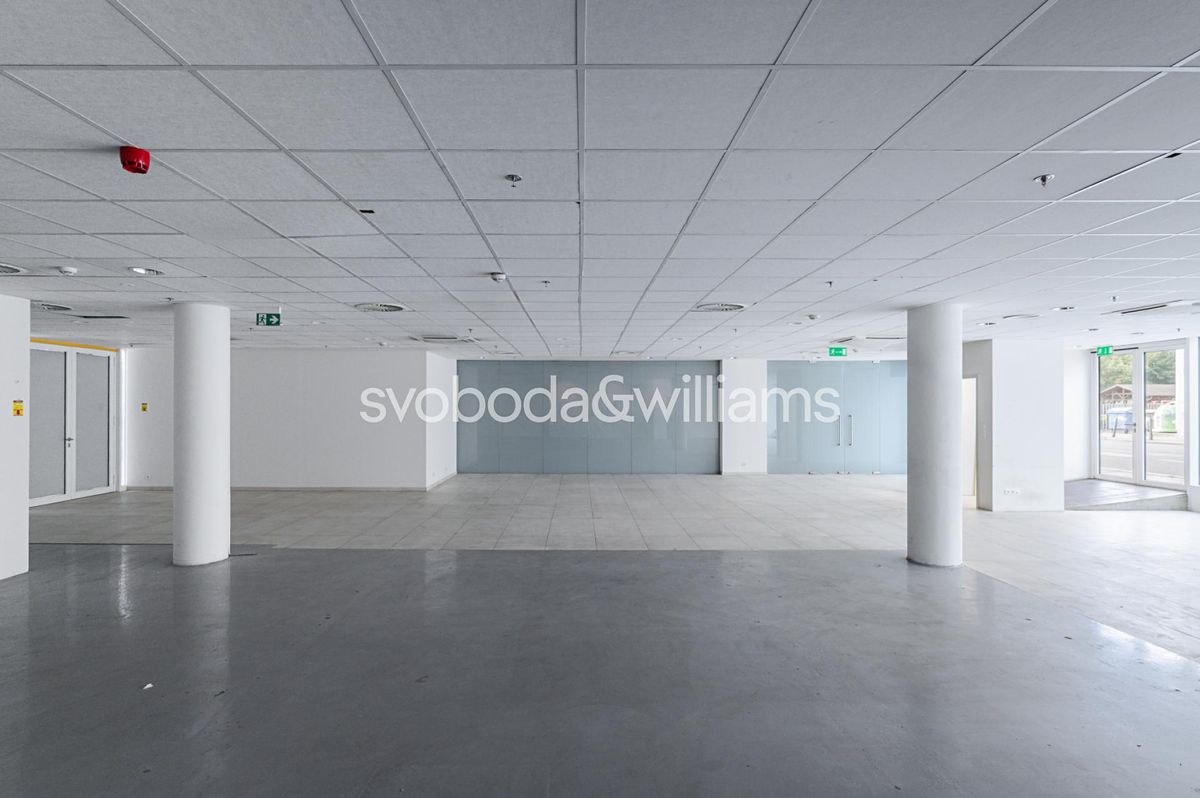Pronájem obchodního prostoru 348 m² – fotografie 3