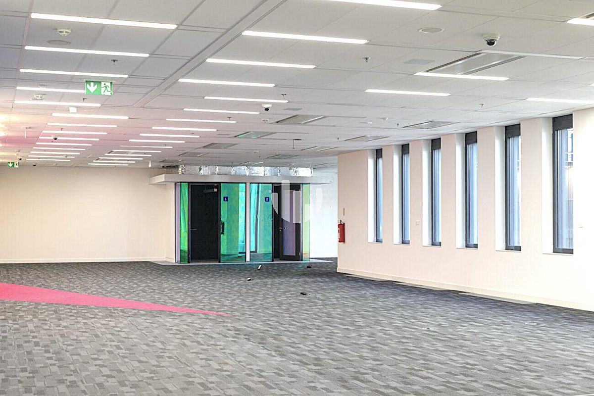 Pronájem kanceláře 350 m² – fotografie 4
