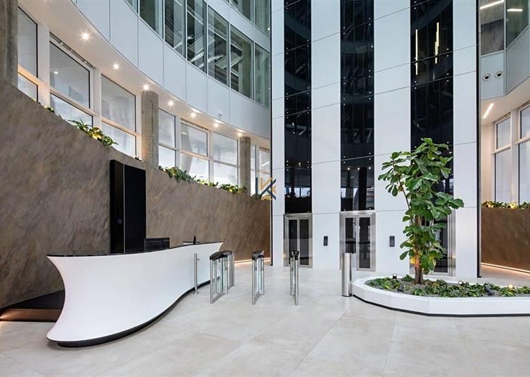Gewerbefläche zur Miete, 265 m² (3 von 9)