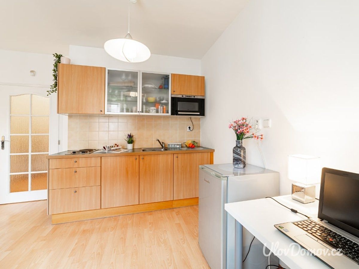 Pronájem bytu 1+kk 33 m² – fotografie 5