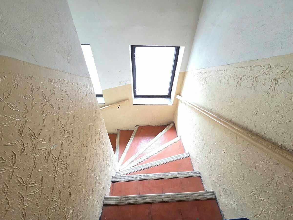 Prodej rodinného domu 320 m², pozemek 241 m² – fotografie 3