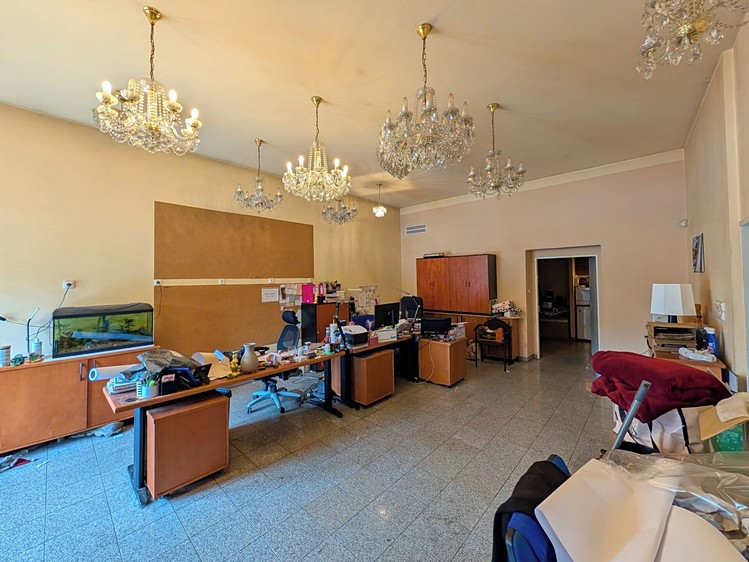 Prodej komerčního prostoru, 950 m² (15 z 21)