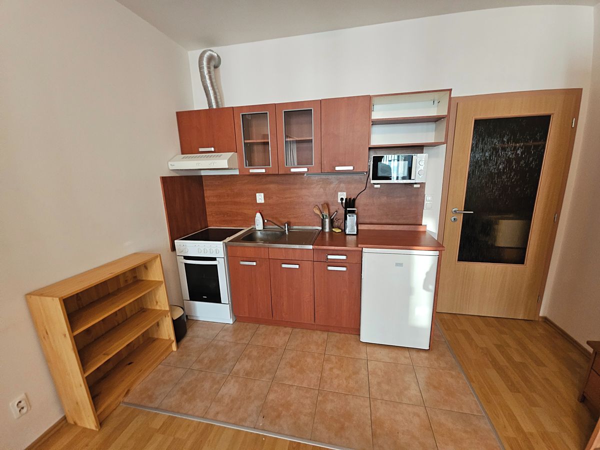 Pronájem bytu 1+kk 29 m² – fotografie 3