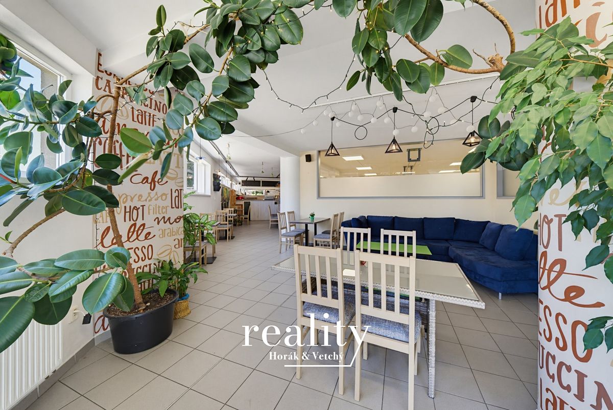 Prodej obchodního prostoru 234 m² – fotografie 2