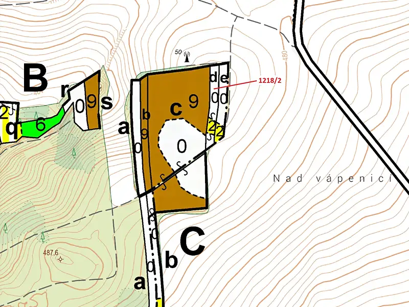 Dražba lesa 1414 m², Vladislav – náhled fotky 3