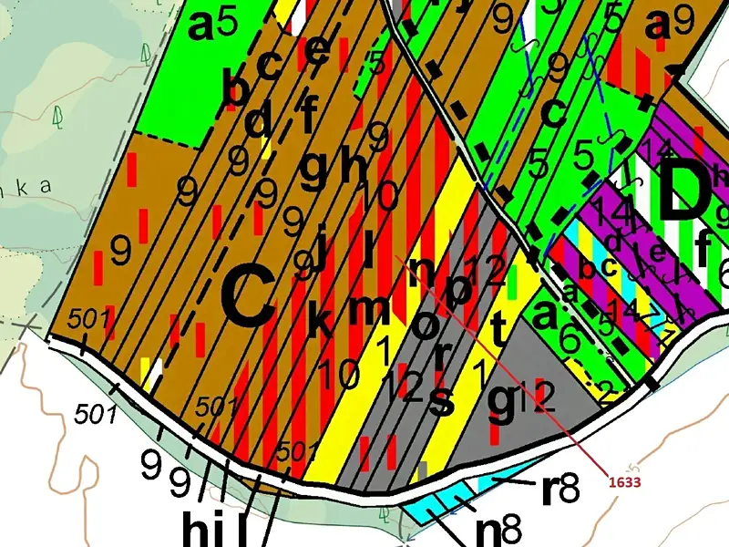 Dražba lesa 5902 m², Komárov – náhled fotky 3