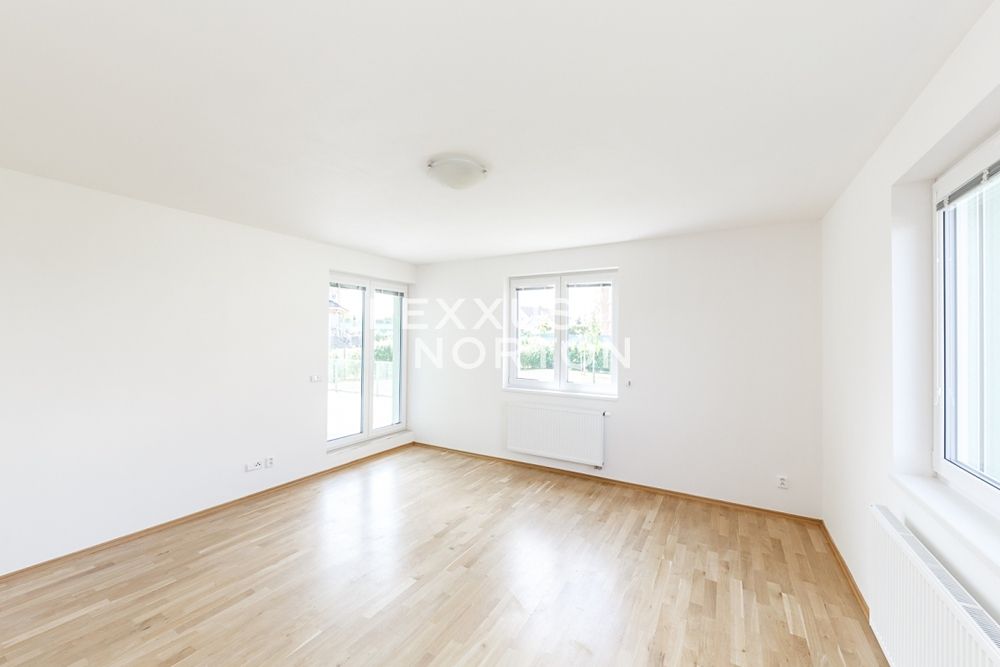 Pronájem vily 400 m², pozemek 10000 m² – fotografie 4