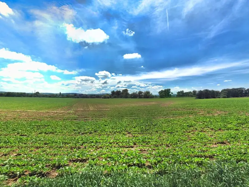 Prodej pole 33861 m², Opava – náhled fotky 2