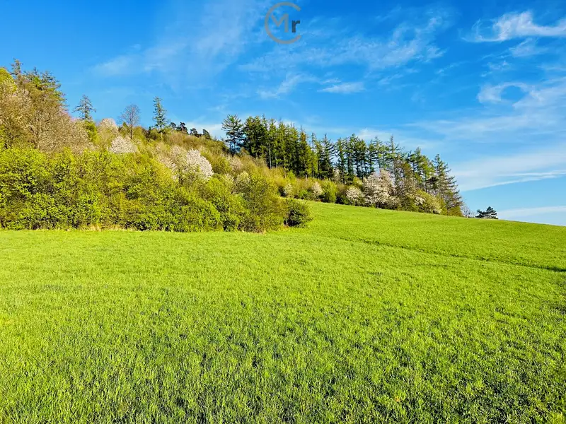 Prodej stavebního pozemku 1920 m², Starý Jičín – náhled fotky 1
