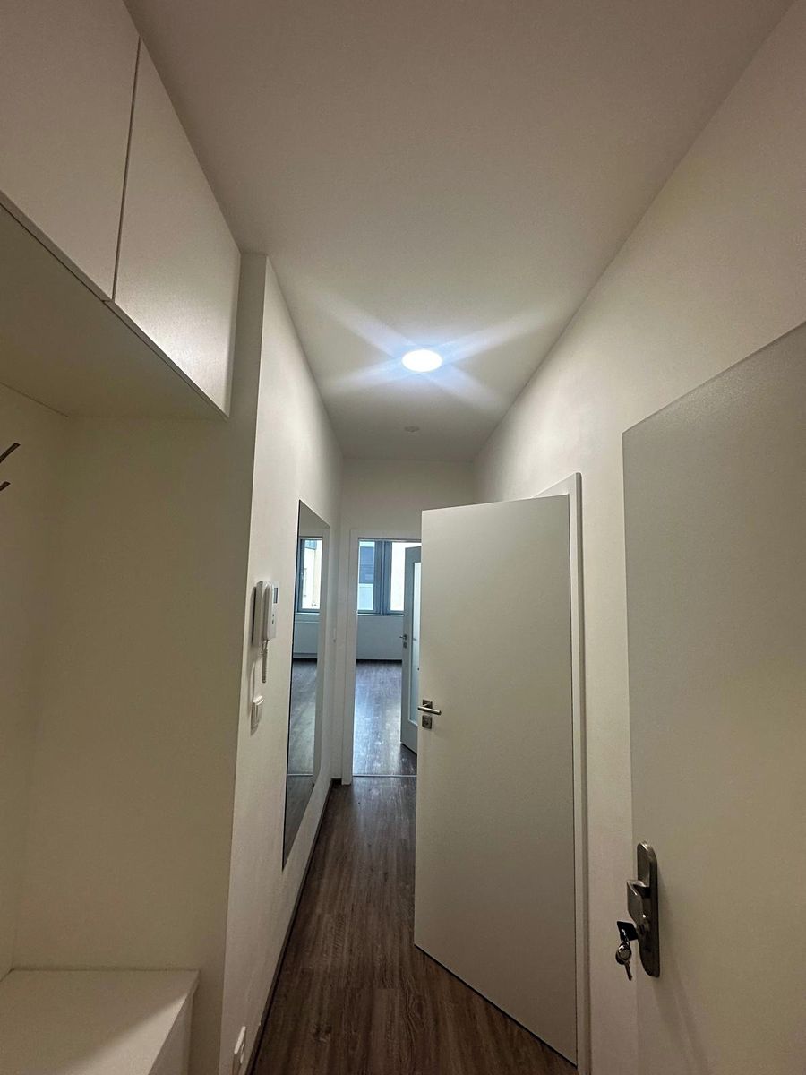 Pronájem bytu 1+kk 46 m² – fotografie 5