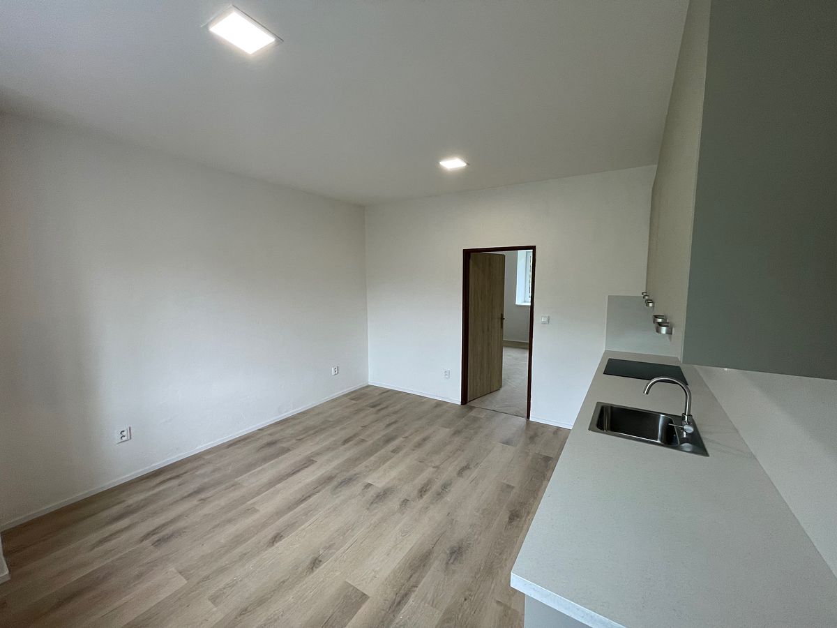 Pronájem bytu 2+1 65 m² – fotografie 4