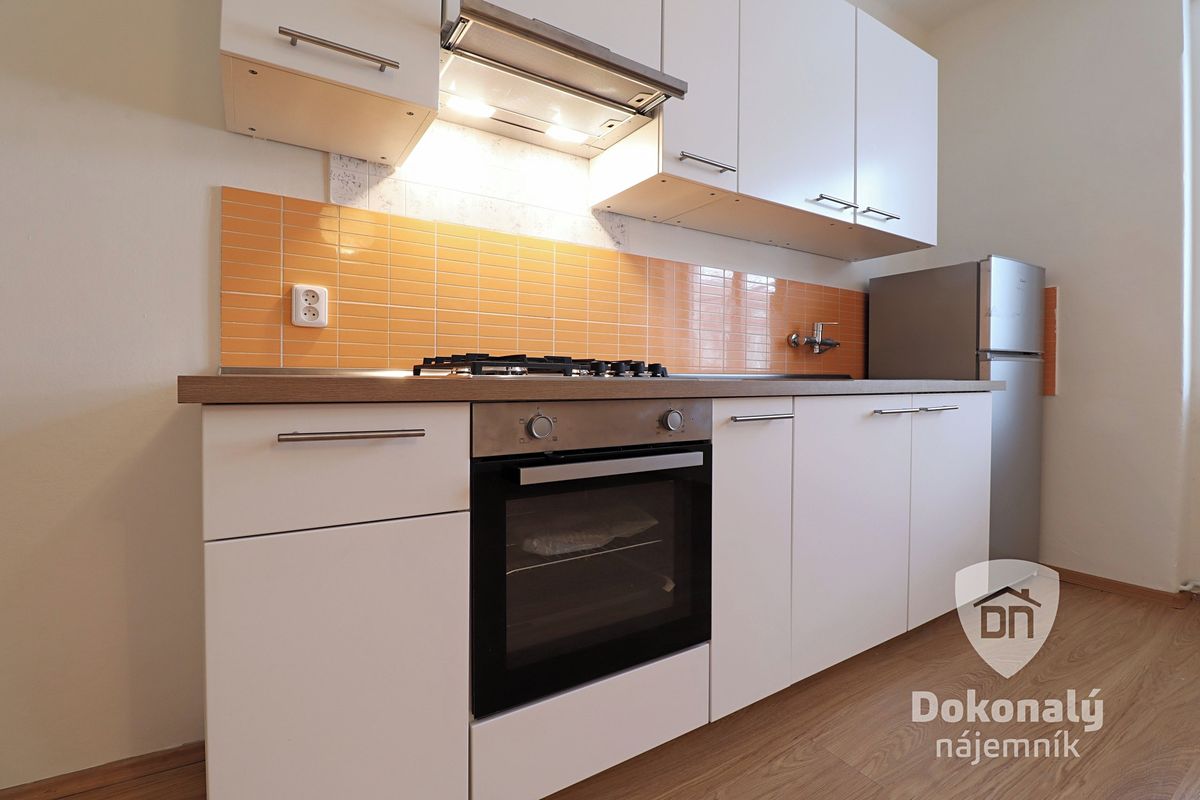 Pronájem bytu 3+kk 84 m² – fotografie 4