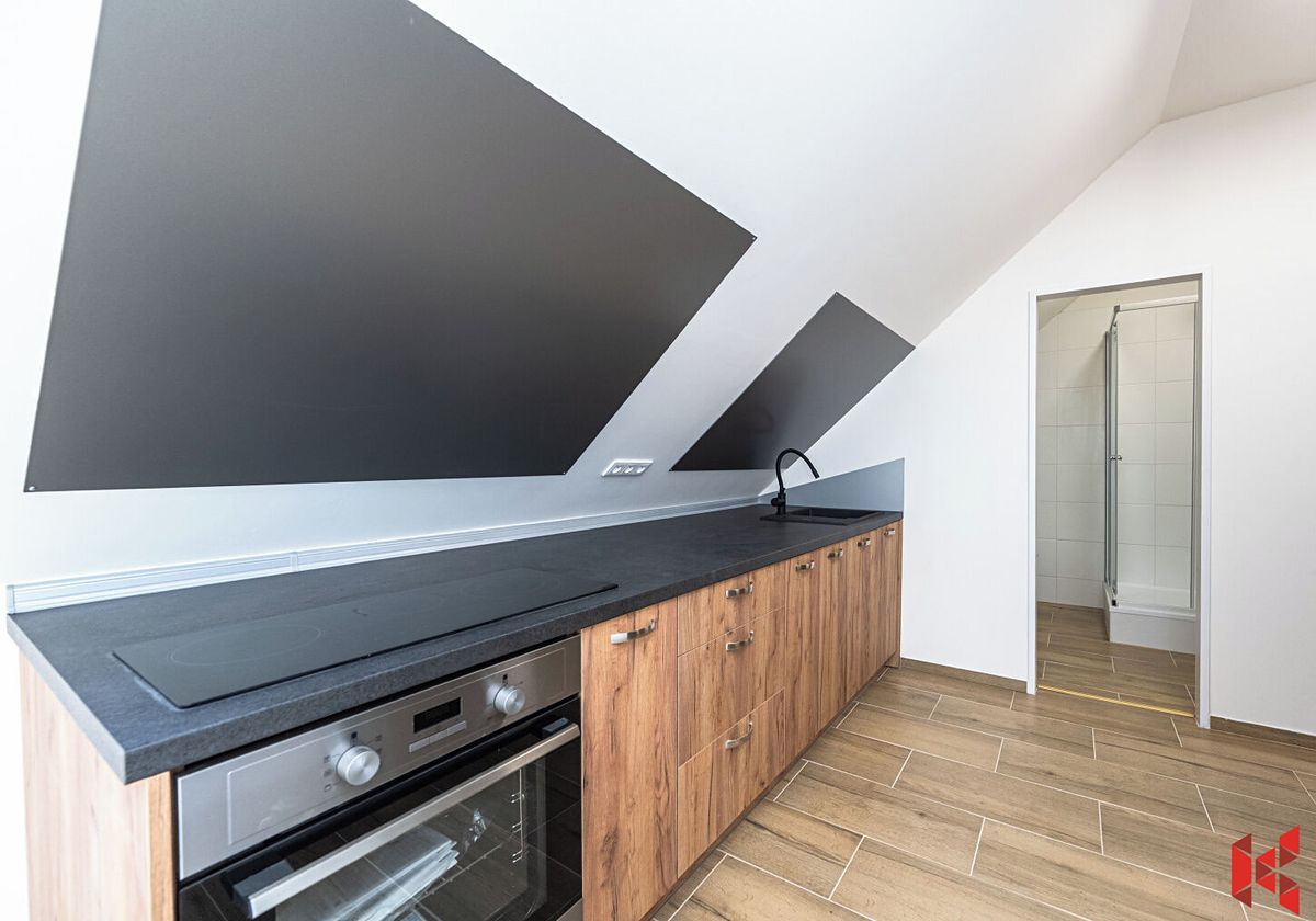 Pronájem bytu 3+kk 52 m² – fotografie 3