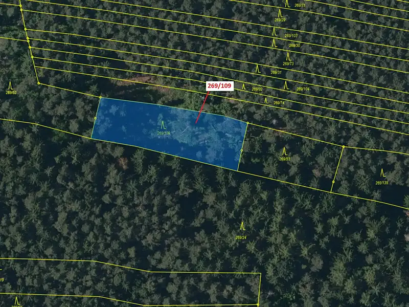 Dražba lesa 1949 m², Břežany – náhled fotky 2