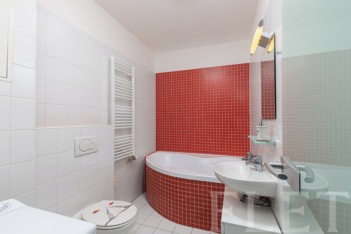 Pronájem bytu 1+kk 36 m² – fotografie 3