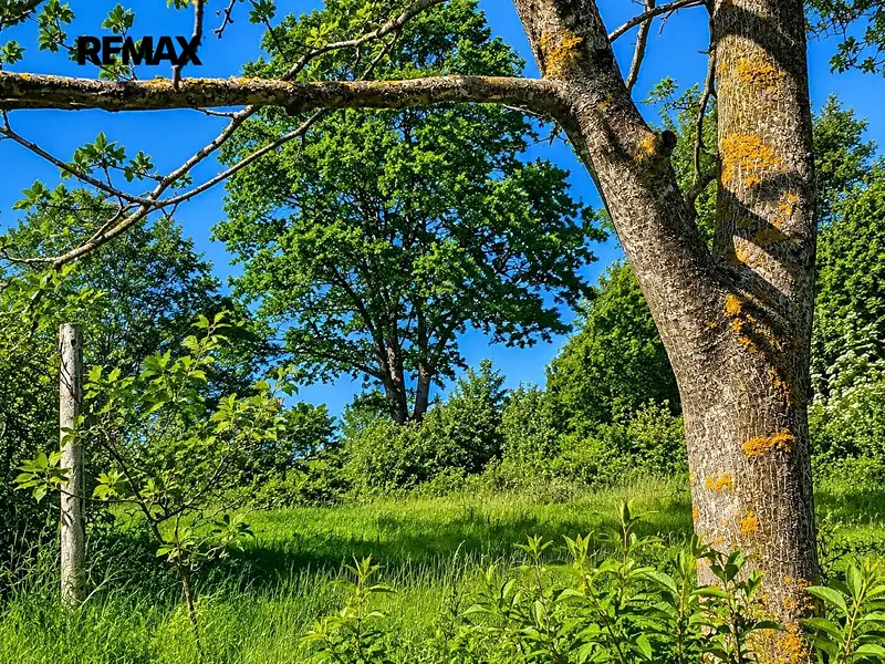 Prodej zahrady 1625 m², Luhačovice – náhled fotky 3