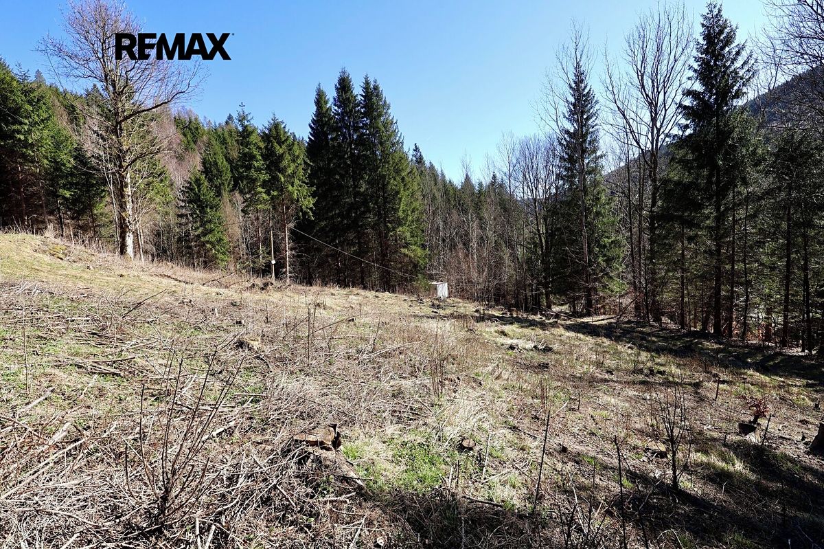 Prodej chaty 180 m², pozemek 7880 m² – fotografie 3