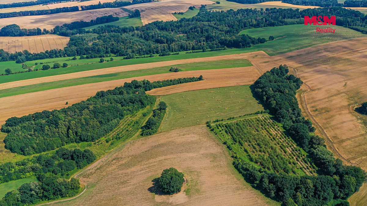Prodej komerčního pozemku 27304 m² – fotografie 2