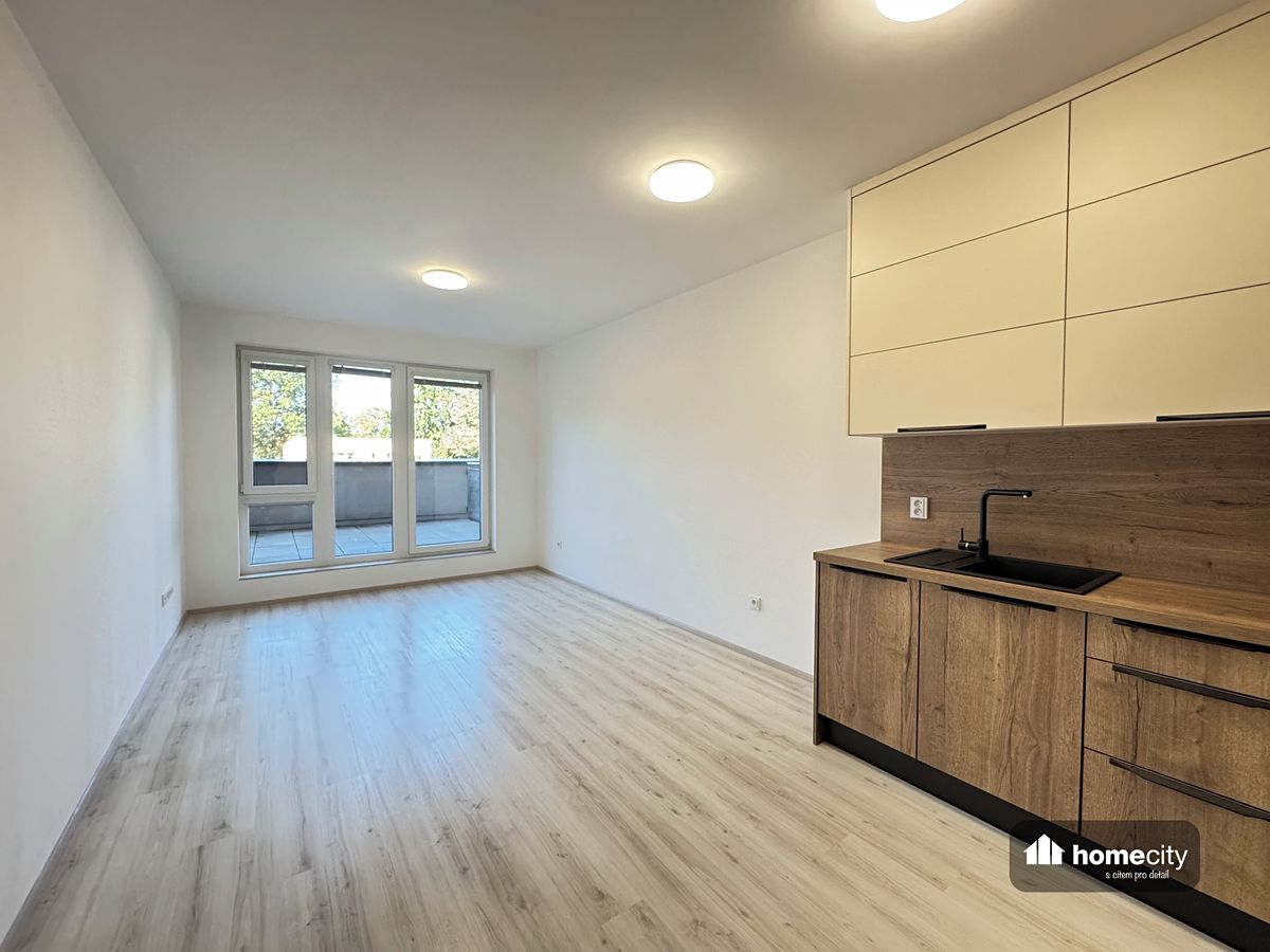Pronájem bytu 1+kk 33 m² – fotografie 3