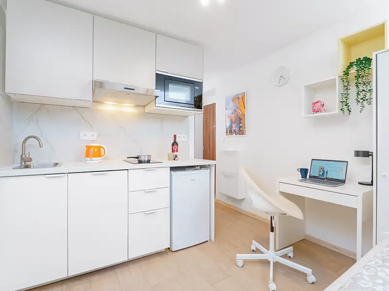 Prodej bytu 1+kk 15 m², Praha – náhled fotky 2