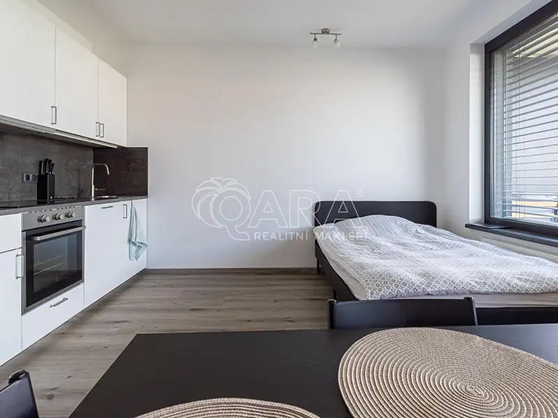 Pronájem bytu 1+kk 33 m², Praha – náhled fotky 1