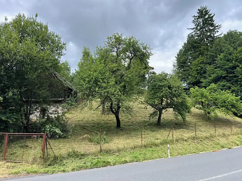 Prodej rodinného domu 191 m², pozemek 3707 m², Velká Lhota – náhled fotky 3