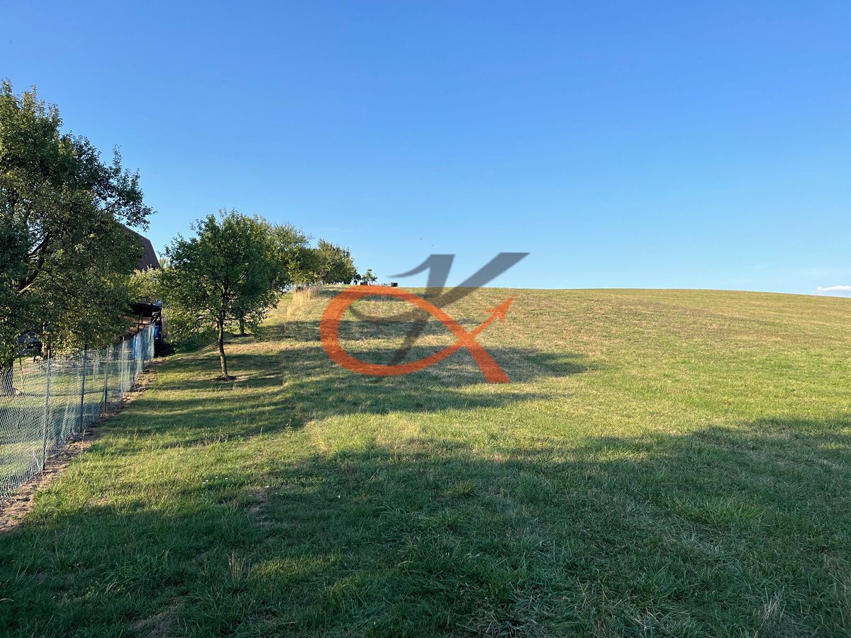 Prodej louky 2325 m² – fotografie 2