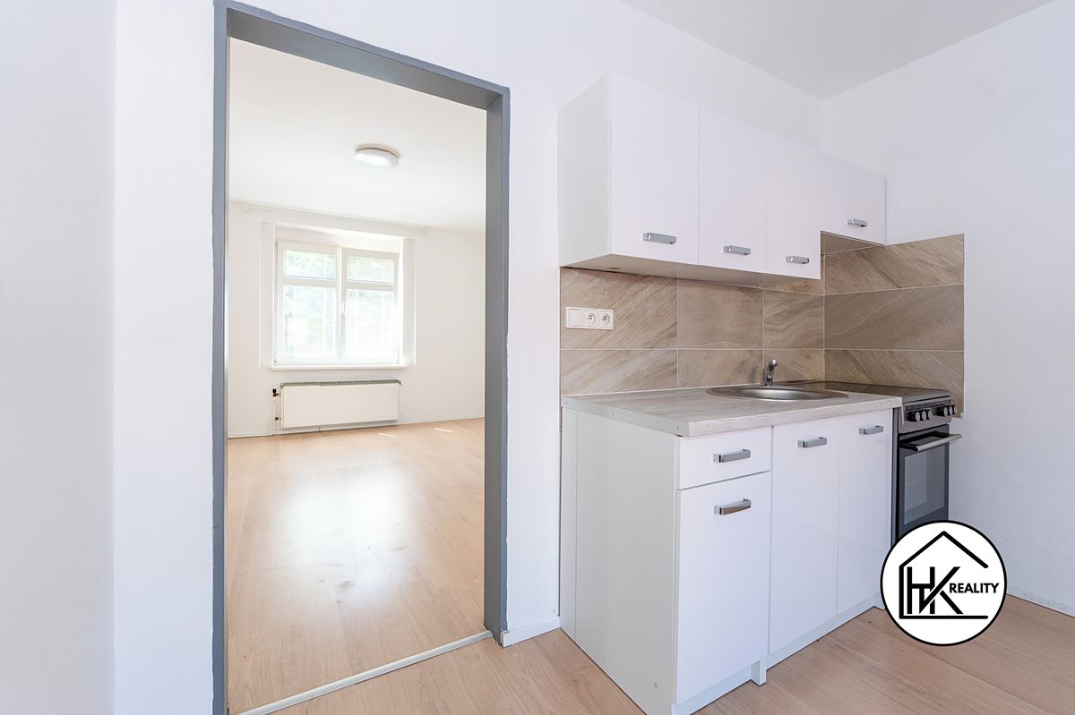 Prodej vícegeneračního domu 180 m², pozemek 481 m² – fotografie 3