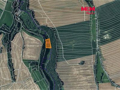 Prodej louky 4169 m²