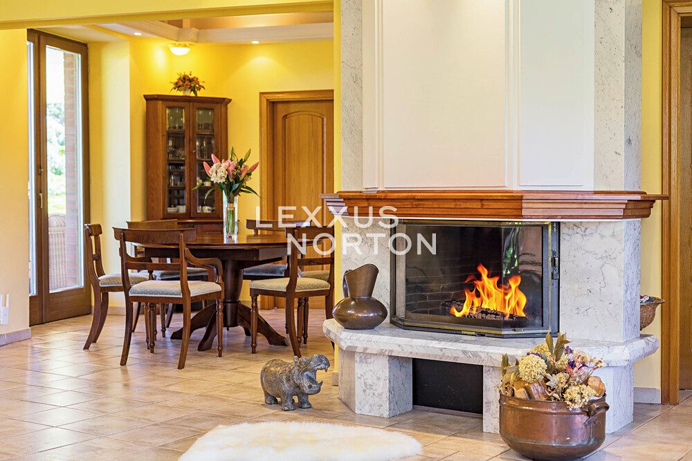 Prodej rodinného domu 343 m², pozemek 2363 m² – fotografie 4