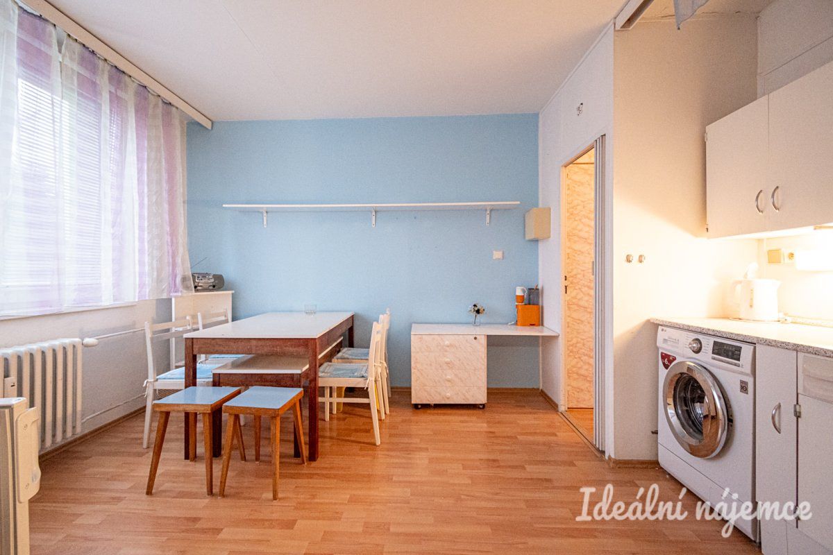 Pronájem bytu 1+1 42 m² – fotografie 4