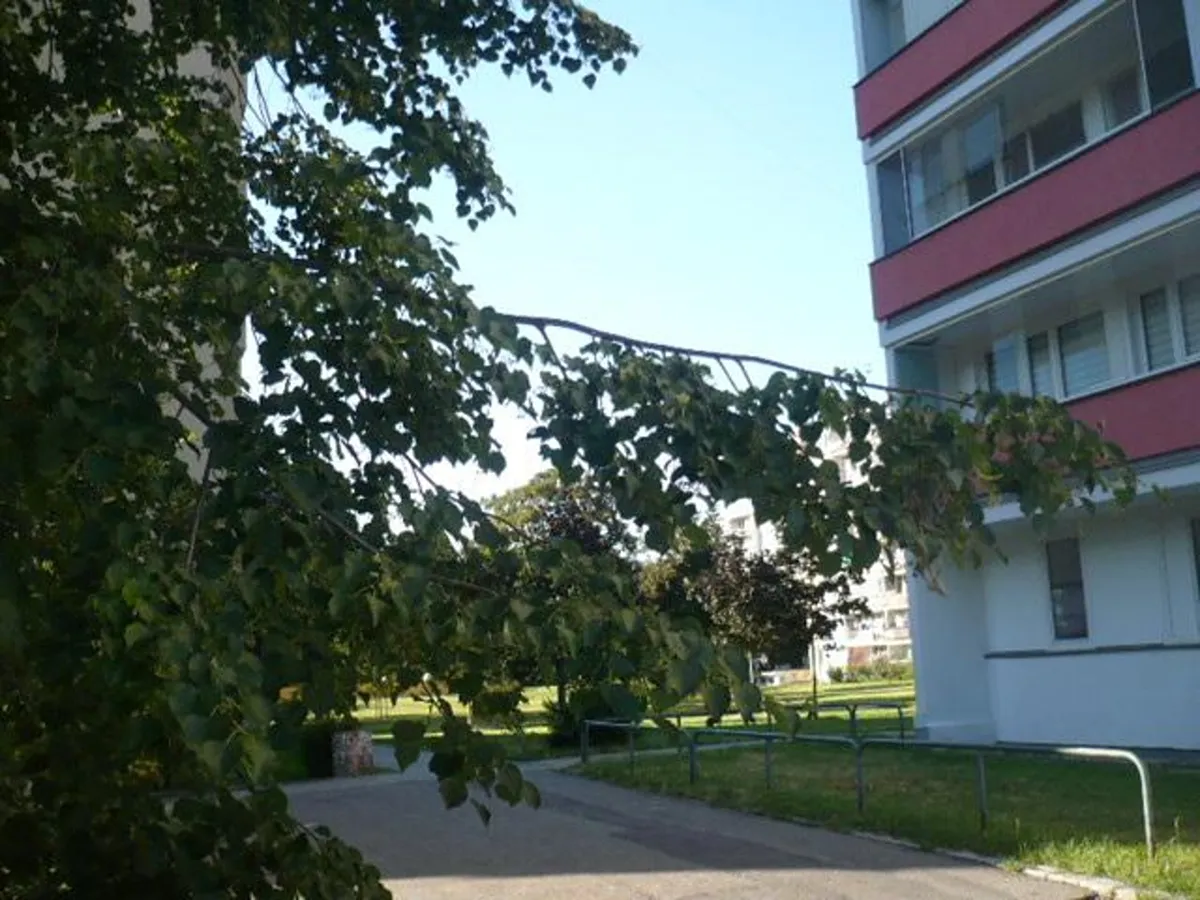 Fotka 11 z 16