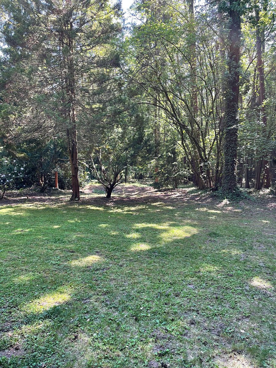 Prodej stavebního pozemku 4441 m² – fotografie 4