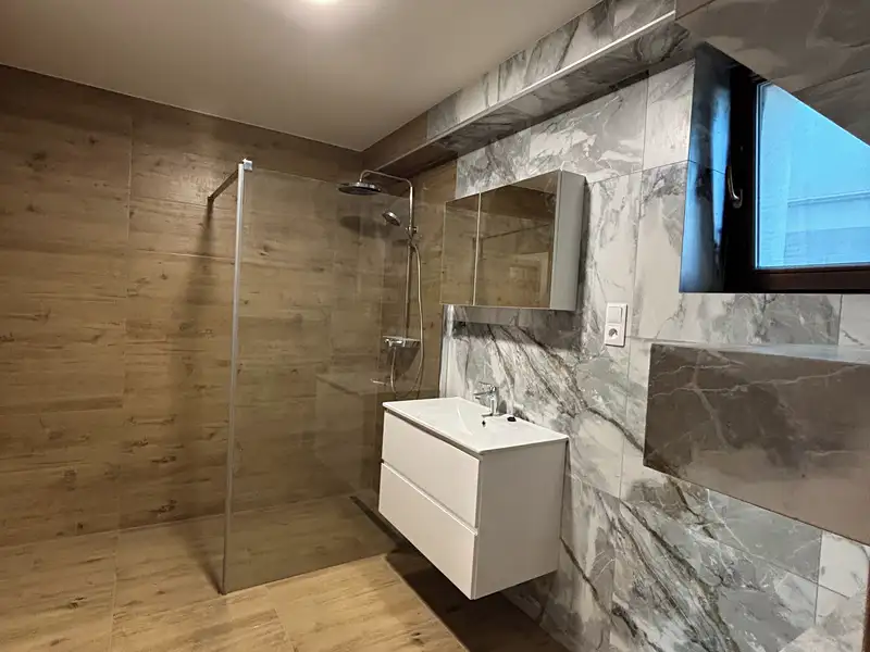 Pronájem bytu 4+kk 170 m², Olomouc – náhled fotky 3