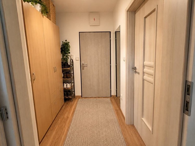 Prodej bytu 2+kk, 45 m² (4 z 10)