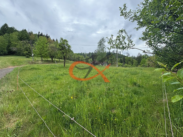 Grundstück zum Kauf, 2.462 m² (7 von 8)