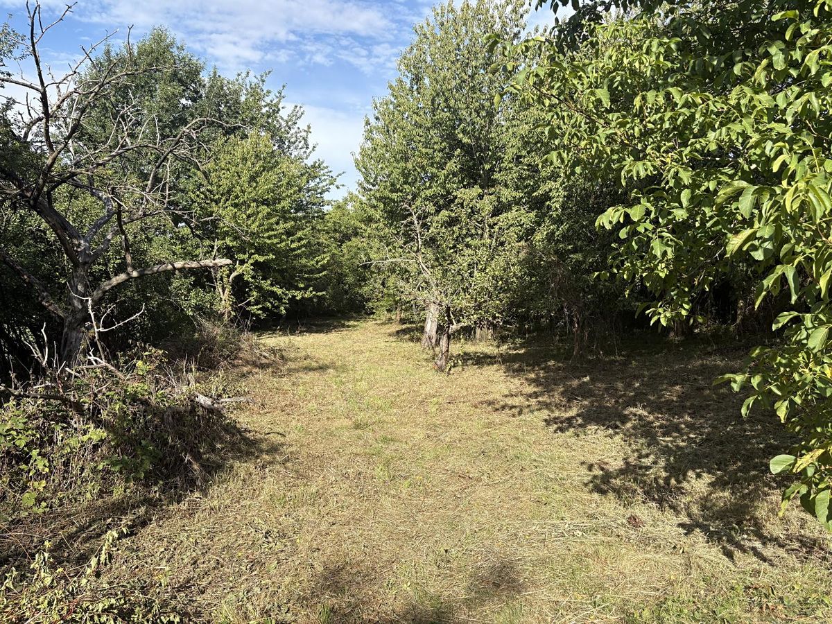 Prodej zahrady 2317 m²