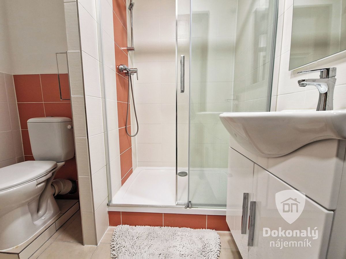 Pronájem bytu 1+kk 32 m² – fotografie 2