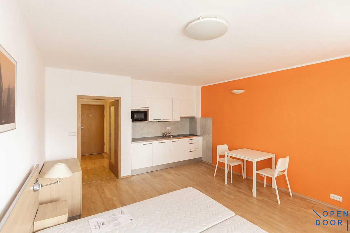 Pronájem bytu 1+kk 32 m² – fotografie 3