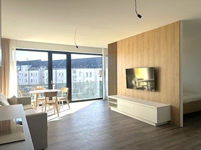 Pronájem bytu 1+kk 60 m²