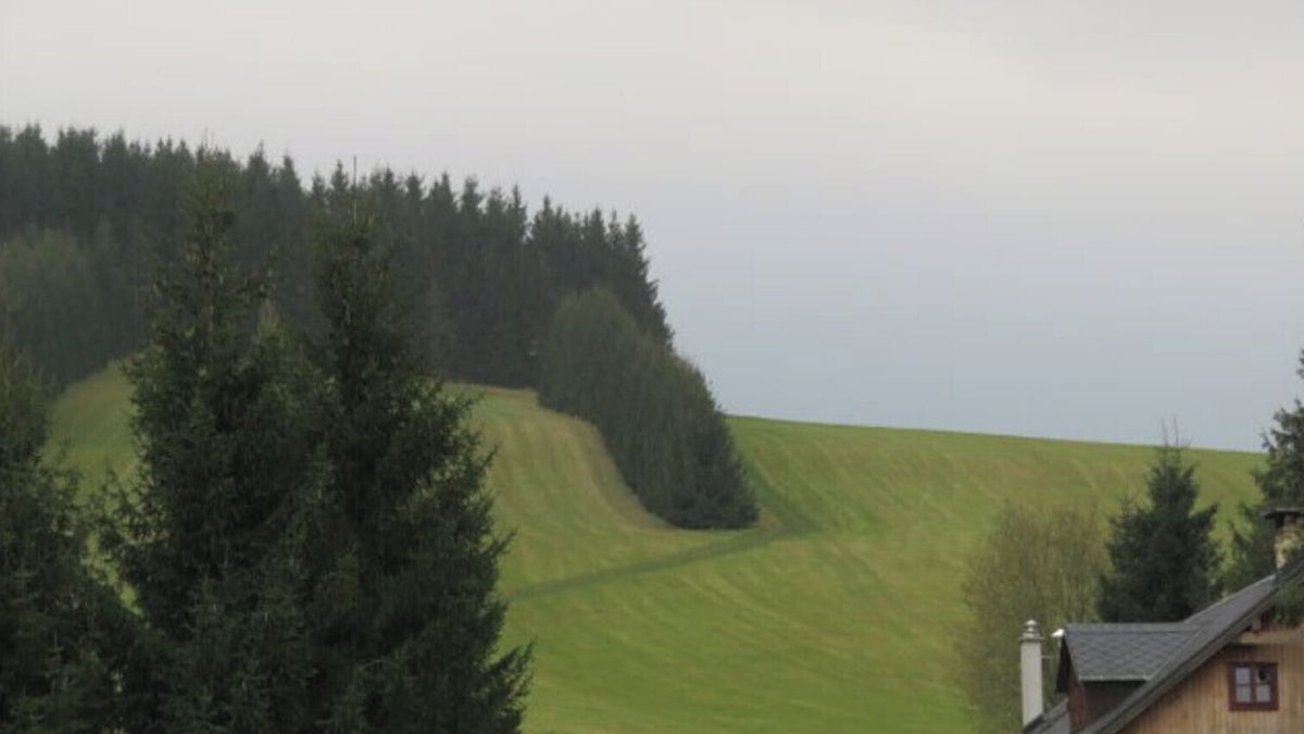 Dražba louky 6461 m², České Petrovice – fotka 1 z 3