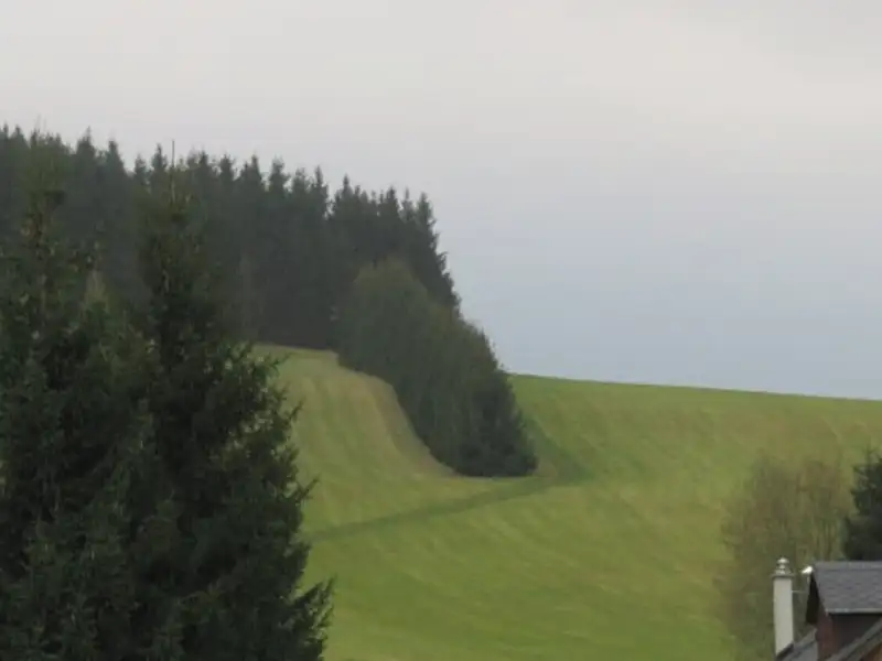 Dražba louky 6461 m², České Petrovice – náhled fotky 1