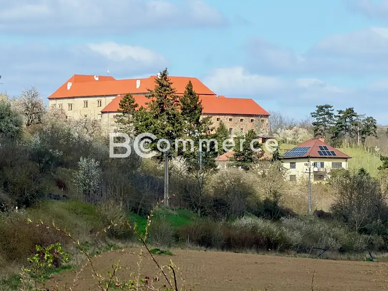 Prodej vily 270 m², pozemek 4446 m², Dolní Kounice – náhled fotky 3